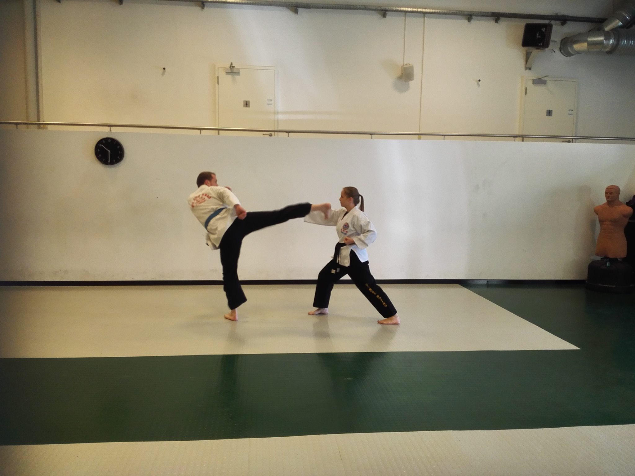 Kicking self-defence technique